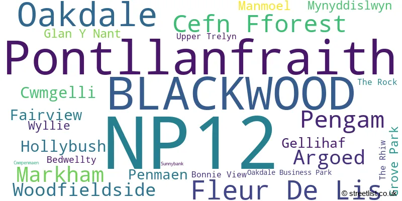 A word cloud for the NP12 postcode