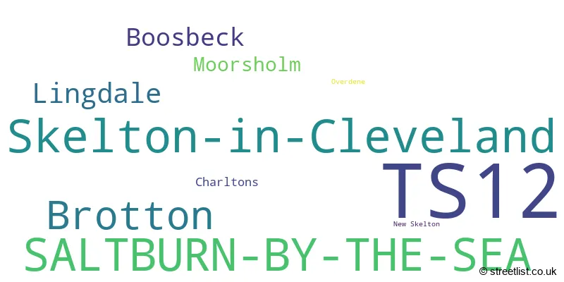 A word cloud for the TS12 postcode