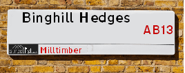 Binghill Hedges