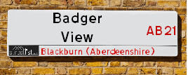 Badger View