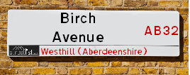Birch Avenue