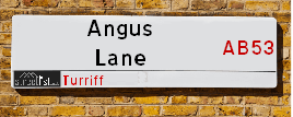 Angus Lane