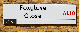 Foxglove Close