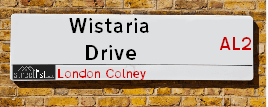 Wistaria Drive