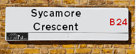 Sycamore Crescent