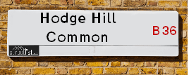 Hodge Hill Common