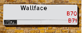 Wallface