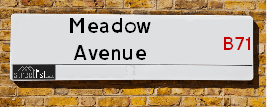 Meadow Avenue
