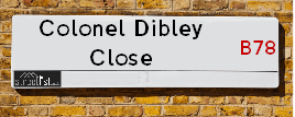 Colonel Dibley Close
