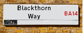 Blackthorn Way