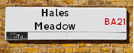 Hales Meadow