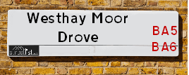 Westhay Moor Drove