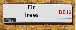 Fir Trees Lane