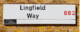 Lingfield Way
