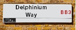Delphinium Way