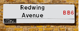 Redwing Avenue