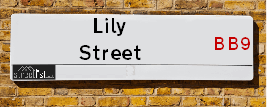 Lily Street