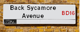Back Sycamore Avenue