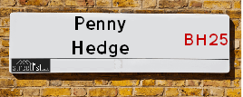 Penny Hedge