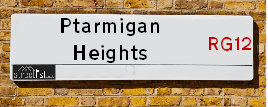 Ptarmigan Heights