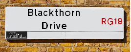 Blackthorn Drive