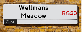 Wellmans Meadow