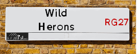 Wild Herons
