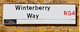 Winterberry Way