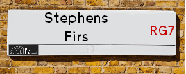 Stephens Firs